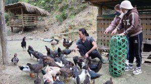 Zon makes cakes to sell at the market, sells chickens, harvests sweet potatoes, vang hoa