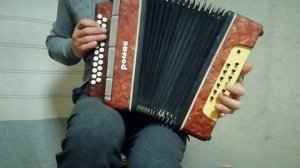 Гармонь Ромашка