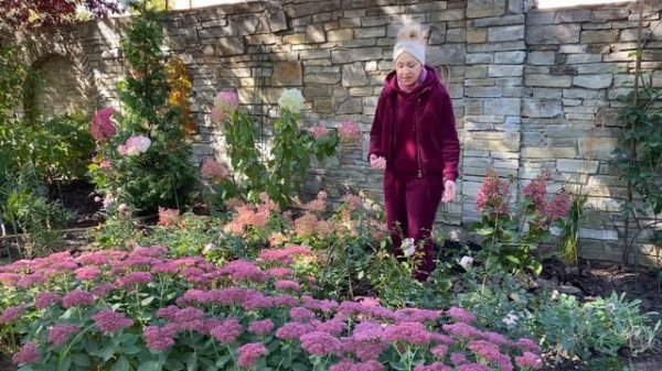 миксбордер-подбор растений и их расположение в самом большом  моём цветнике