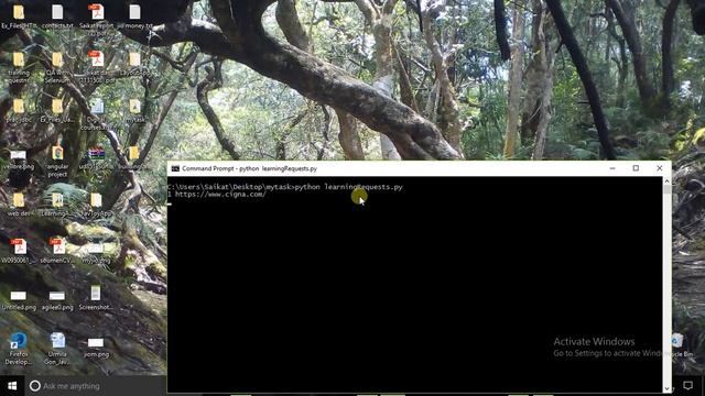 Python Script to print http response code смотреть онлайн