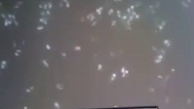 you would not believe your eyes if 10 million fireflies смотреть онлайн