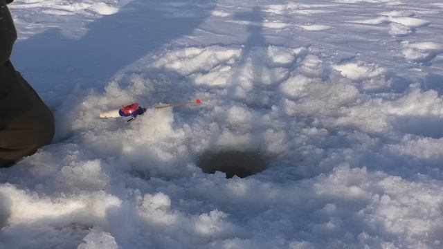 РЫБАЛКА 2023! Я НА РЫБАЛКЕ! смотреть онлайн