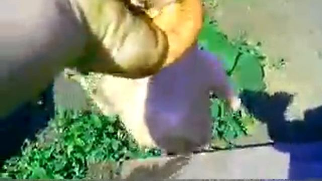 как сделать коптильню из эл.печки смотреть онлайн