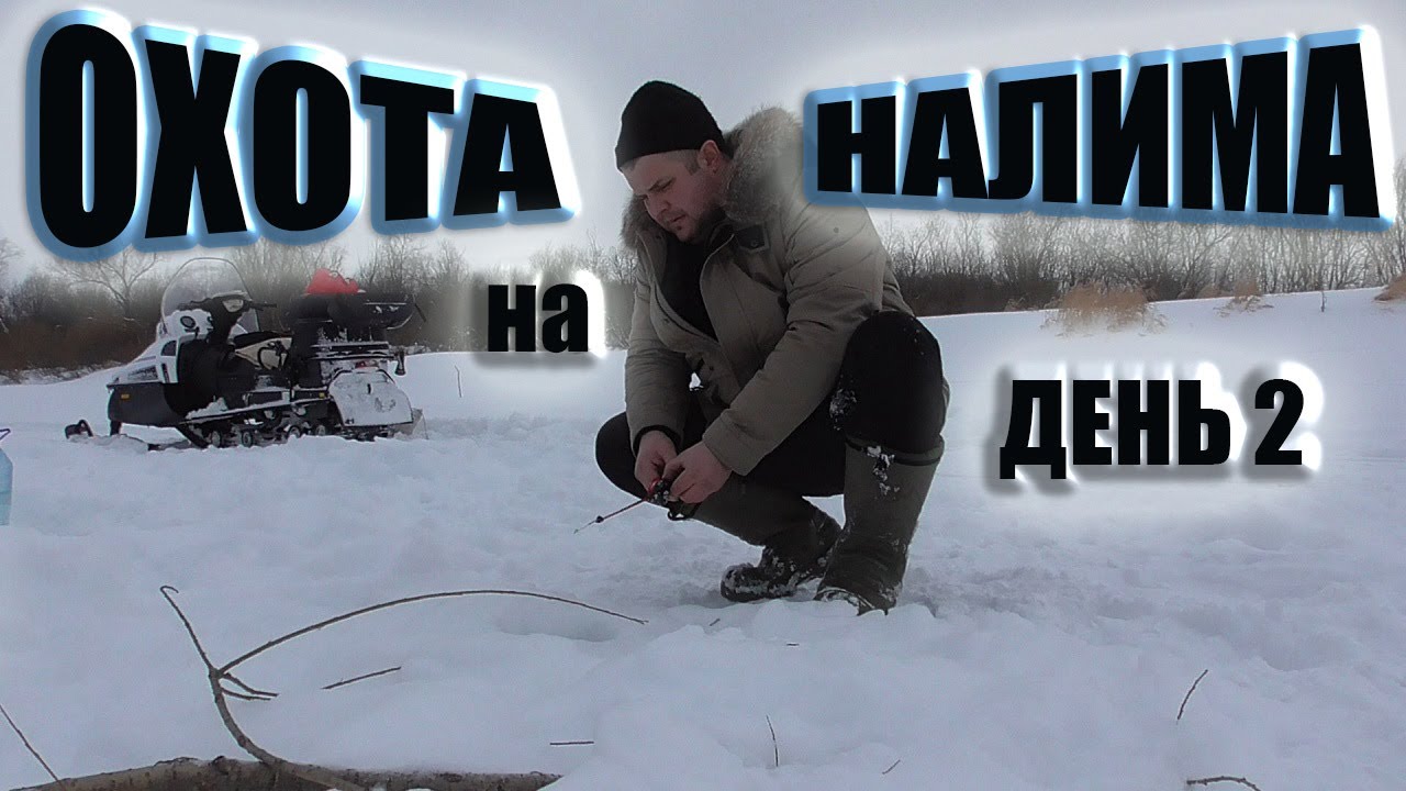 Охота на налима река Чулым наловил живца поставил самоловы смотреть онлайн
