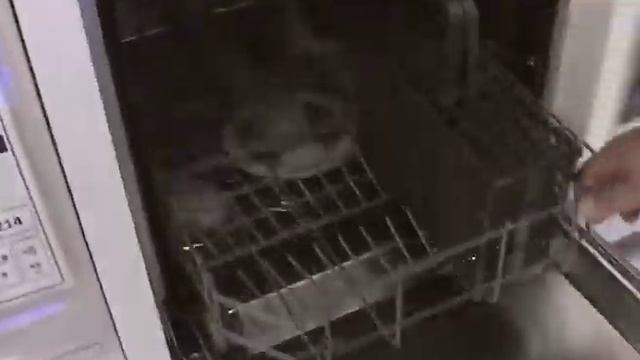 Electrolux ESL4300RO mosogatógép - Eluxshop.hu смотреть онлайн