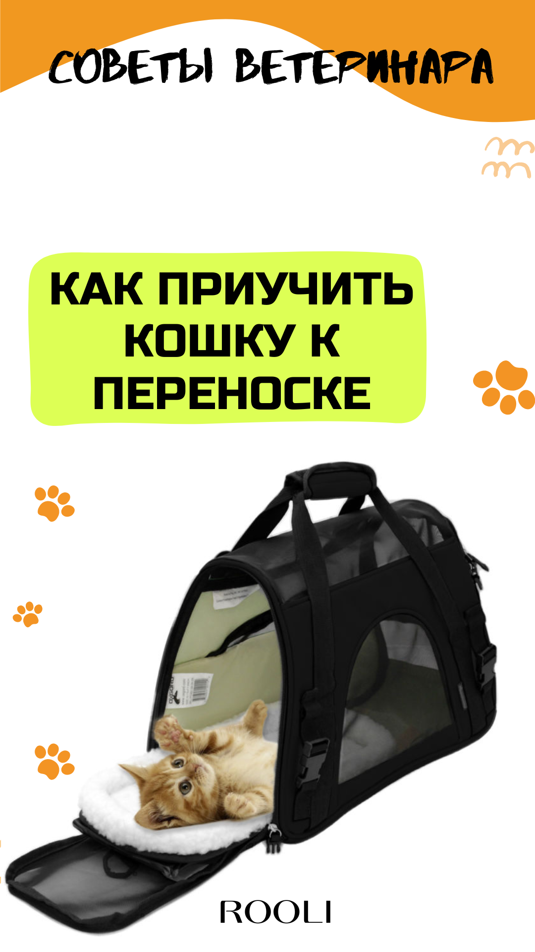 Как приучить кошку к переноске. За дополнительной информацией обращайтесь к ветеринару онлайн ROOLI смотреть онлайн