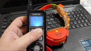 hunter 25000 pro. КАК привязать ошейник