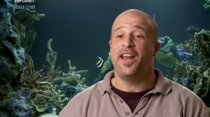 Аквариумный бизнес - Сезон 1 (Серия 2)