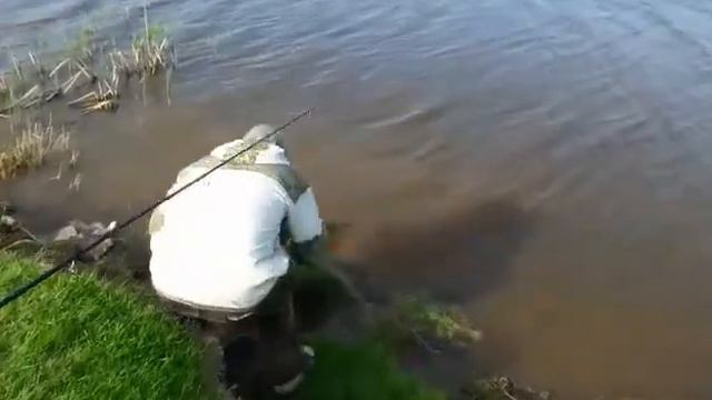 Мой друг Карпфишер Саня! смотреть онлайн