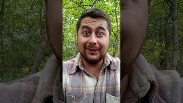 Гусь СВИНЬЕ не товарищ (анекдот)#юмор смотреть онлайн