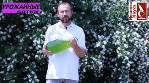 Позеленела вода в бочке, бассейне и пруду? Что делать? Поливать или вылить?