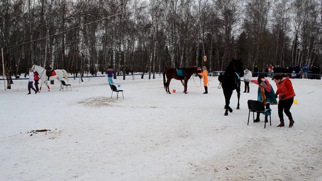 Масленица 2015, состязание Джим-хана девочки (ШВЕ Династия). смотреть онлайн