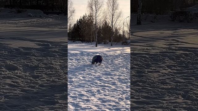 Шустрый Пуненочек?? смотреть онлайн