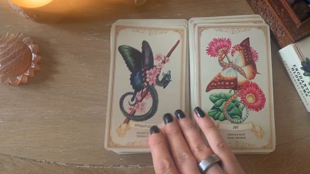 Enchanted Blossoms Oracle Deck walkthrough смотреть онлайн
