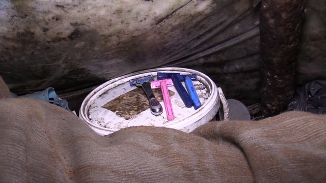 Отшельнику из Луги предстоит начать новую жизнь смотреть онлайн