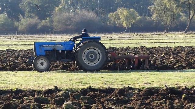 Трактор пашет поле