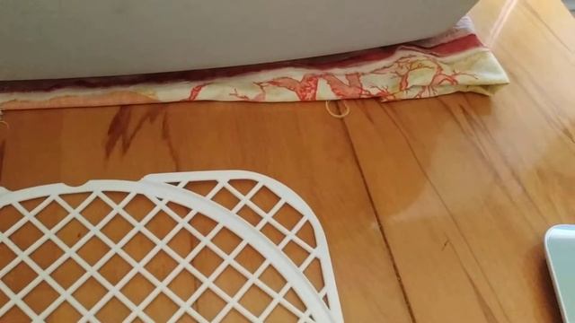 Перепела в квартире. часть 2 Случилось чудо смотреть онлайн