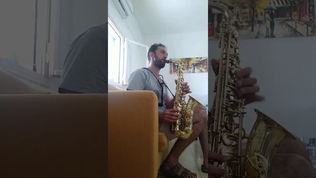 Take Five - Alto Sax Solo sample смотреть онлайн