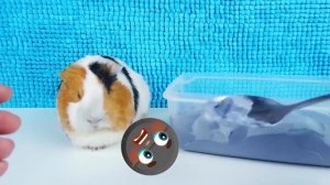 Сладкие воспоминания. Бузя и Вера делают мороженое и другие вкусняхи)