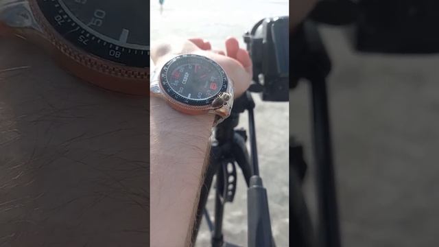 Шмель, Оса или пчела, а может бзык? кто это? не пойму смотреть онлайн