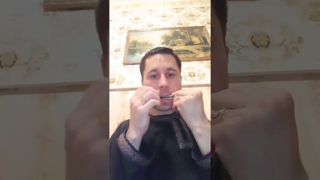 Александр Пичуев ВАРГАН/ХОМУС РАЗГОВОР ЛЕСА!ЭТО ИНТЕРЕСНО смотреть онлайн