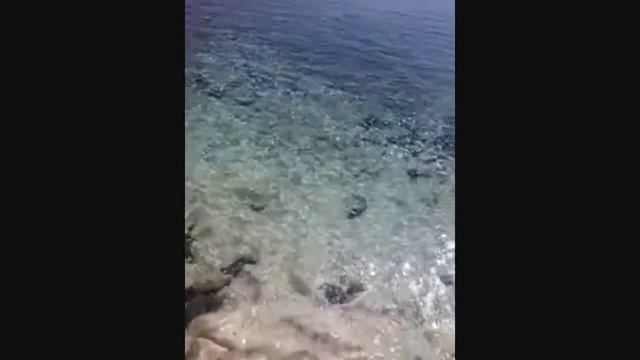 Стихотворение 