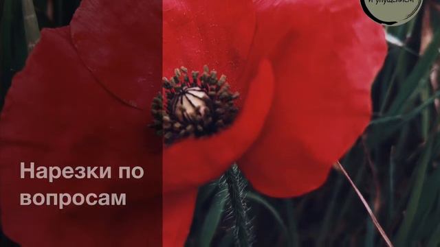 Если человек проглотил чужую слюну / Шарх Булуг иль-марам / Абу Ибрахим Татарстани смотреть онлайн
