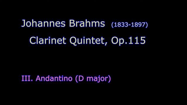 [DTM] Clarinet Quintet 3rd Mov. (Brahms) смотреть онлайн