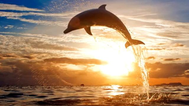 Музыка релакс для йоги смотреть онлайн