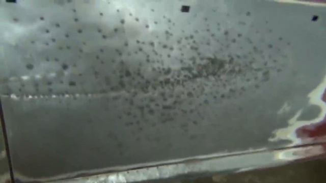 Теперь я не динозавр шлифуем на сухо и Правильно смотреть онлайн