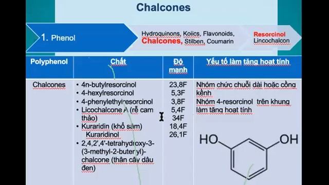 INNOAESTHETICS - HYDROQUINONE & CÁC HOẠT CHẤT ỨC CHẾ NÁM THAY THẾ. смотреть онлайн