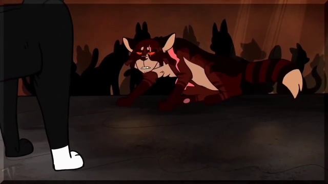 Коты воители. Клип Бич :ЗАКАЗ:- Ego смотреть онлайн