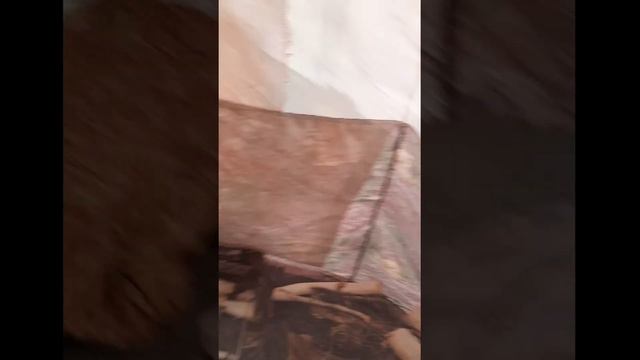 Утро в палатке смотреть онлайн