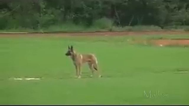 FMBB 2008- Mia Skogster B-100 смотреть онлайн