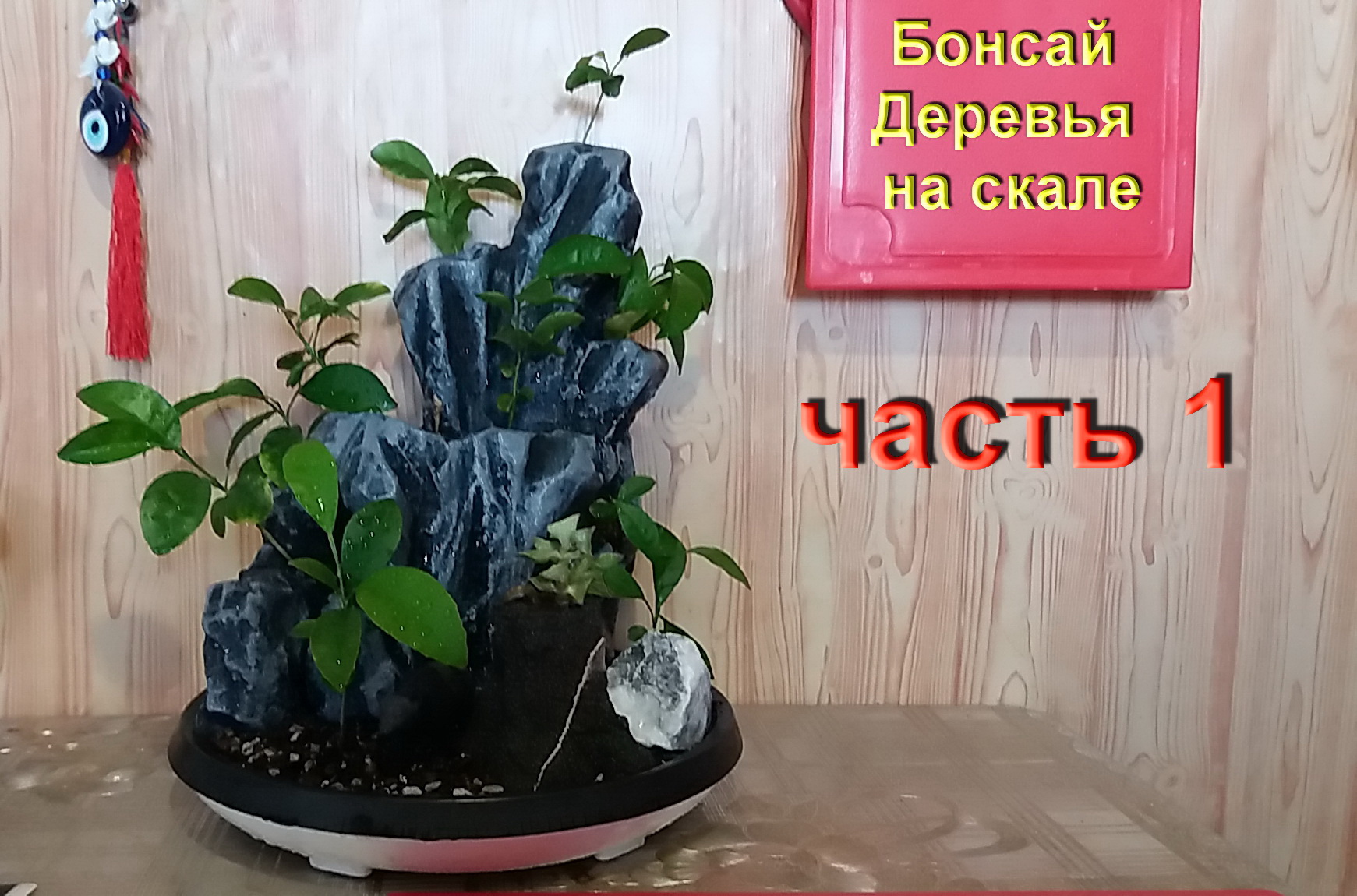 1.Создание Бонсай деревья на скале часть 1Making Bonsai Trees on a Rock
