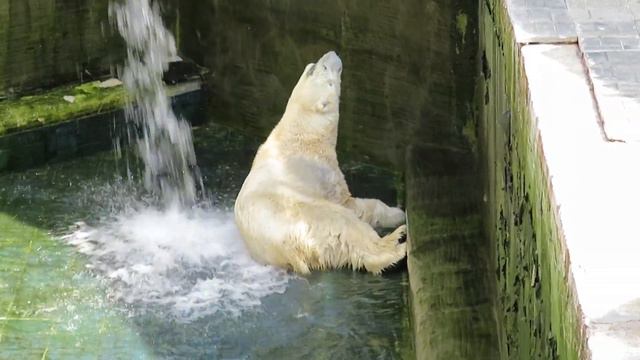 Каю дали воду и он пошёл отмываться 25.06.2020 смотреть онлайн