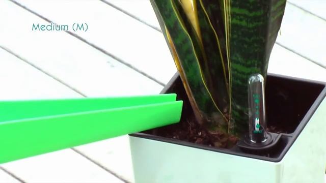 Кашпо с автополивом Green Sun / HydroSystem в кашпо с автополивом смотреть онлайн