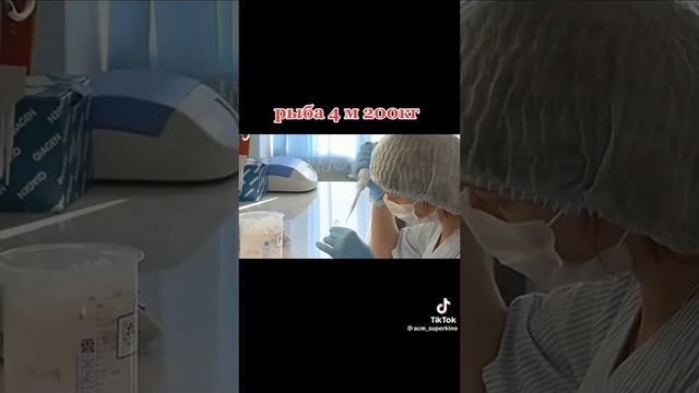 Офигенный сом