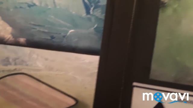 НОЕВ КОВЧЕГ/Фотоальбом/Факты и предположения/1/