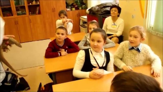 экскурсия научного террариума МГУ в школе. смотреть онлайн