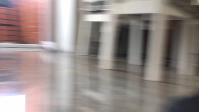 Разборки Русского Той Терьера и котёнка Сфинкса. смотреть онлайн