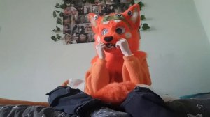 ЧТО ДЕЛАТЬ ЕСЛИ БОИШЬСЯ ГУЛЯТЬ В ФУРСЬЮТЕ 🐱⭐  советы от Брича