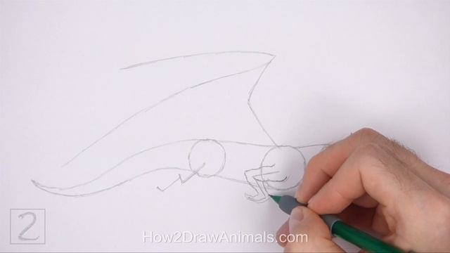 How to Draw a Dragon Flying (Wind Dragon) смотреть онлайн