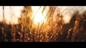 Oppo Reno 8 Pro Cinematic 4k Camera Test