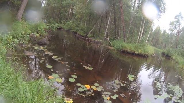 Поньгома '16 : Протока : 4 смотреть онлайн