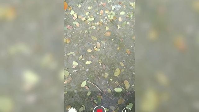PLAYit New Update | How to hdr video on playit app |100℅work ? #hd_video #4kvideo #hdrvideoediting смотреть онлайн