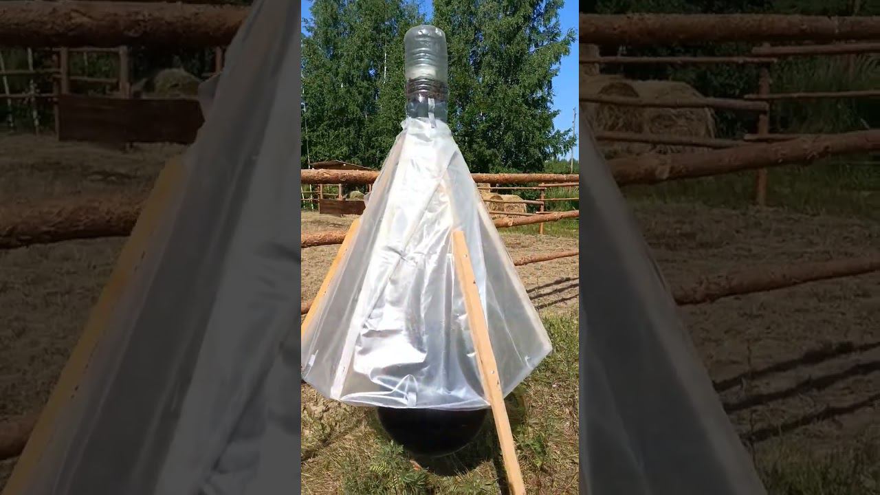 ОНА ЛОВИТ ВСЕХ КТО ПРОЛЕТАЕТ МИМО смотреть онлайн