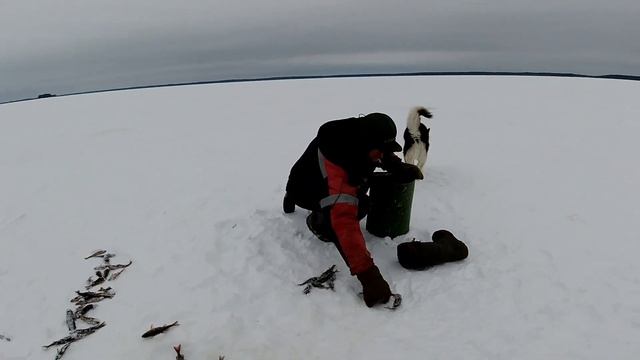 ВЕЗДЕХОД,КОТОРЫЙ НЕ БОИТСЯ ВОДЫ,ЛЬДА И СНЕГА!!! ПЕРВЫЙ ВЫЕЗД НА РЫБАЛКУ! смотреть онлайн