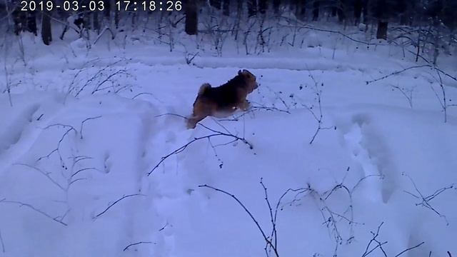 1 год каналу! Я 12 месяцев с вами! смотреть онлайн