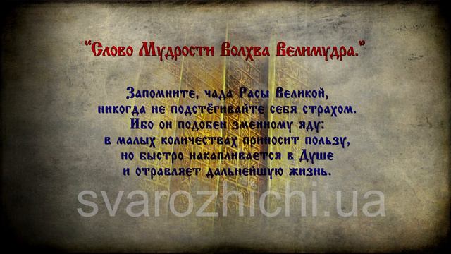 Заповедь Предков "Смелость" смотреть онлайн